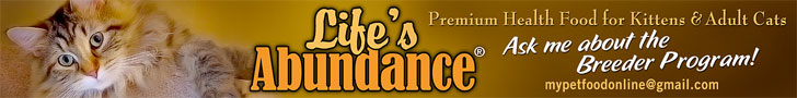 Lifes Abundance